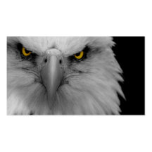 bald eagle business card
