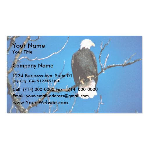 Bald Eagle Business Cards (front side)
