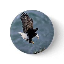 Bald Eagle Pin