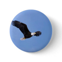 Bald eagle button