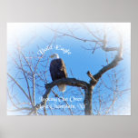 Bald Eagle Canvas Print