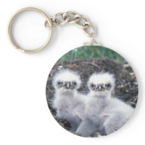Bald Eagle Chicks Keychain