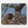 Bald Eagle Chicks - Mousepad
