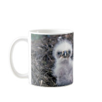 Bald Eagle Chicks Coffee Mug