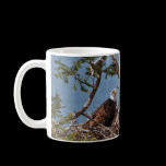 Bald Eagle Chicks - Mug mugs