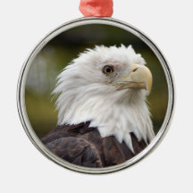 Bald Eagle Christmas Ornament