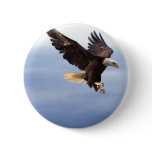 Bald Eagle Dive Pinback Buttons