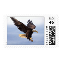 Bald Eagle Dive Postage Stamps