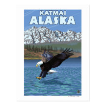 Bald Eagle Diving - Katmai, Alaska Post Cards