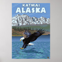 Bald Eagle Diving - Katmai, Alaska Print