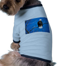 Bald Eagle Dog Shirt