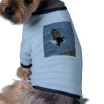 Bald Eagle Dog Tee Shirt