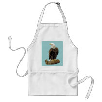 Bald Eagle Drawing aprons