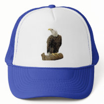 Bald Eagle Drawing hats