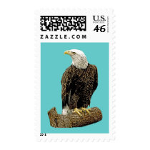 Bald Eagle Drawing Stamps