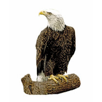Bald Eagle Drawing t-shirts
