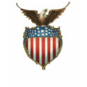 Bald eagle eagle atop of stars & stripes shield t-shirts