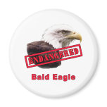 Bald Eagle Endangered Species Magnet