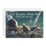 Bald Eagle Family; Gift Certificate Personalized Announcements