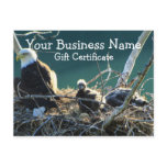 Bald Eagle Family; Gift Certificate Post Cards