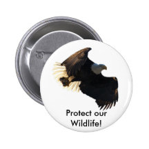 Bald Eagle Flight Collection II Button
