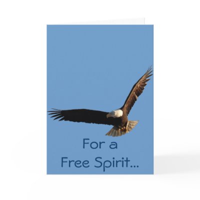 Bald Eagle Flight Collection II Cards by RavenSpiritPrints