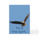 Bald Eagle Flight Collection II cards by RavenSpiritPrints Bald Eagle Flight Collection II cards