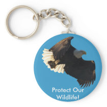 Bald Eagle Flight Collection II Key Chains