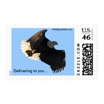 Bald Eagle Flight Collection II Stamp