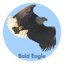 Bald Eagle Flight Collection II Round Stickers
