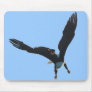 Bald Eagle Flight Collection Mouse Mats