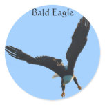 Bald Eagle Flight Collection Sticker