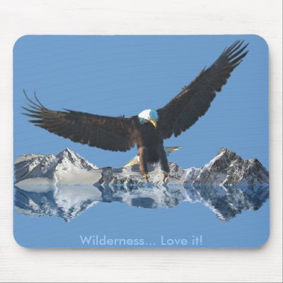 BALD EAGLE FLIGHT Mousepad Collection by RavenSpiritPrints