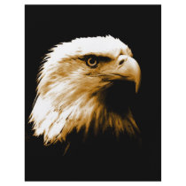 Bald Eagle Flyers