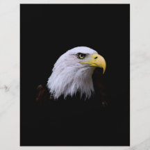 Bald Eagle Flyer