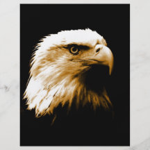 Bald Eagle Flyers