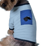 Bald Eagle flying across blue sky pet clothing