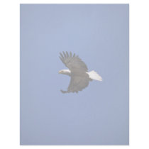 Bald Eagle flying across blue sky Letterhead Design