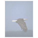 Bald Eagle flying across horizon Custom Letterhead
