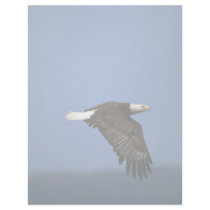 Bald Eagle flying across horizon Custom Letterhead