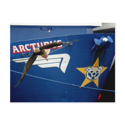 Bald Eagle flying past the F/V Arcturus Postcard by mistlebee