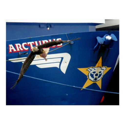 Bald Eagle flying past the F/V Arcturus Postcard