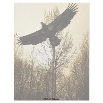 BALD EAGLE & FOREST Letterhead Design by RavenSpiritPrints