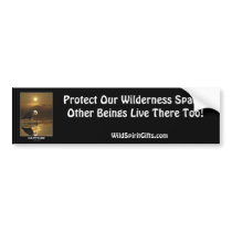 Bald Eagle GRATITUDE Series Bumper Sticker
