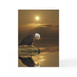 Bald Eagle GRATITUDE Series Card