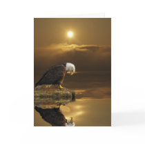 Bald Eagle GRATITUDE Series cards by RavenSpiritPrints Bald Eagle GRATITUDE Series cards
