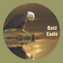 Bald Eagle GRATITUDE Wildlife Photography stickers