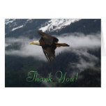 Bald Eagle Gratitude Wildlife Thank You Card