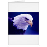 Bald Eagle Greeting Card