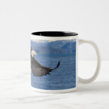 bald eagle, Haliaeetus leuccocephalus, in flight Coffee Mugs
